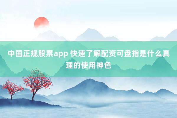 中国正规股票app 快速了解配资可盘指是什么真理的使用神色