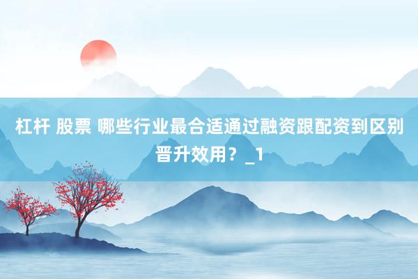 杠杆 股票 哪些行业最合适通过融资跟配资到区别晋升效用？_1