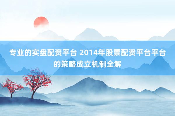 专业的实盘配资平台 2014年股票配资平台平台的策略成立机制全解