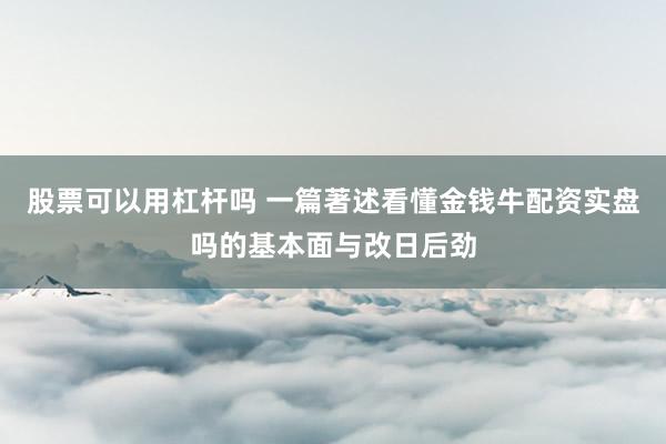 股票可以用杠杆吗 一篇著述看懂金钱牛配资实盘吗的基本面与改日后劲