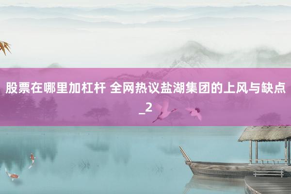 股票在哪里加杠杆 全网热议盐湖集团的上风与缺点_2
