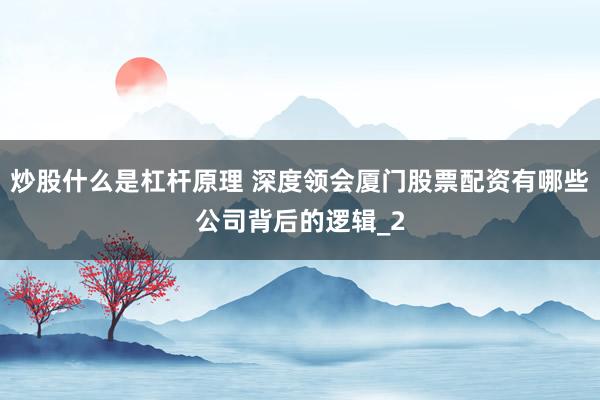 炒股什么是杠杆原理 深度领会厦门股票配资有哪些公司背后的逻辑_2