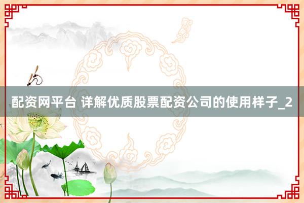 配资网平台 详解优质股票配资公司的使用样子_2