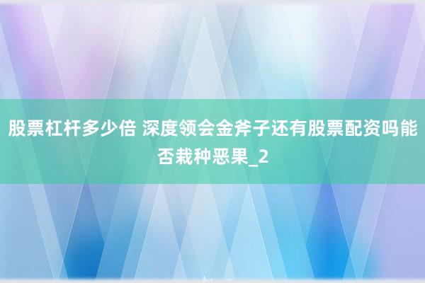 股票杠杆多少倍 深度领会金斧子还有股票配资吗能否栽种恶果_2