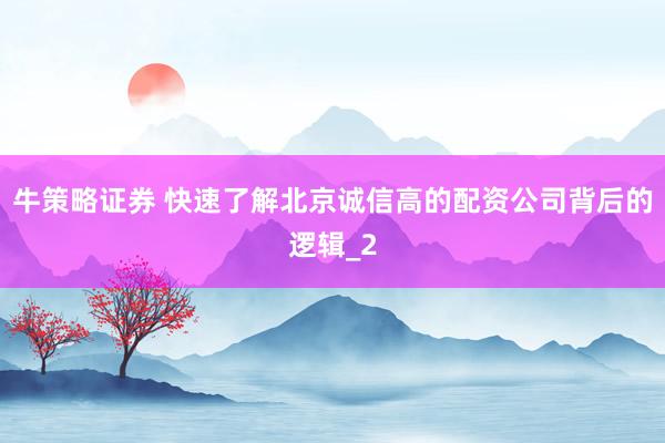 牛策略证券 快速了解北京诚信高的配资公司背后的逻辑_2